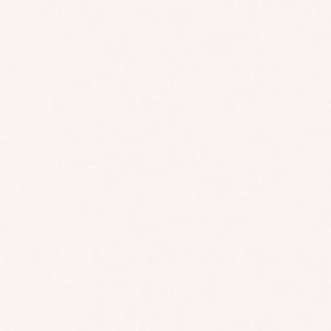 KP Costco Blanco - Glossy - 300x600mm - 1x2ft